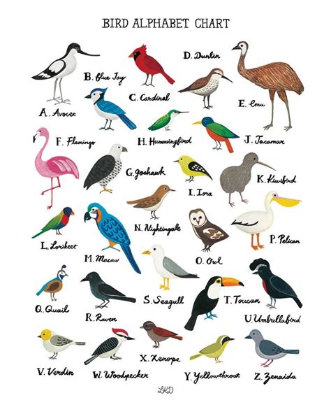 birds with six letters|british birds with 6 letters.